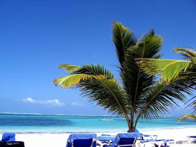 Готель Larimar Beach Пунта-Кана Екстер'єр фото